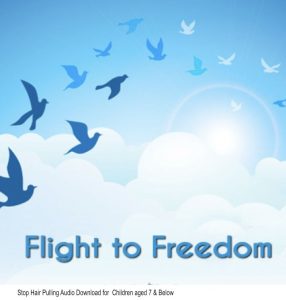Flight-to-Freedom mp3 download